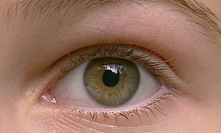 L'oeil, la lumière et la vision - Structure de l'oeil - 12mn 05s